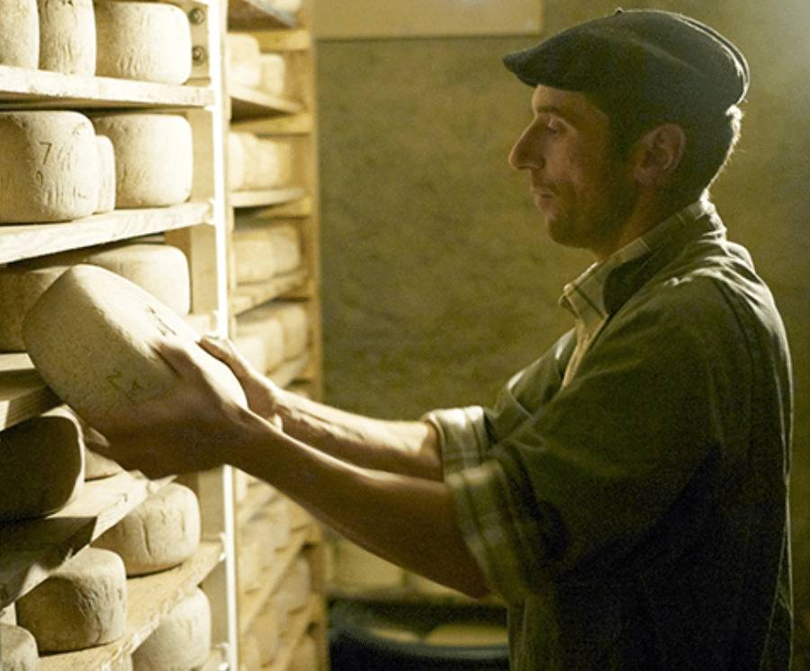 benat-producteur-fromage-de-brebis